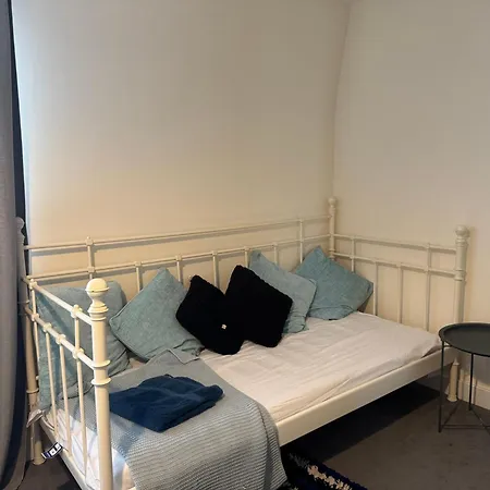 Rose Бристоль