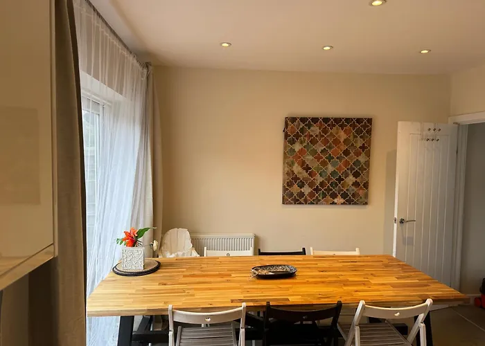 Rose Бристоль